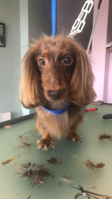 [Image: IMG-2092.jpg]