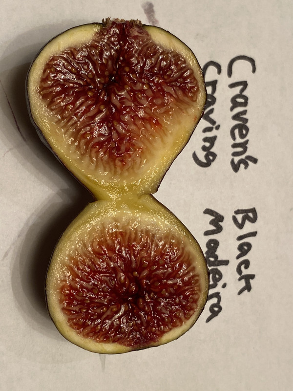 B678FA48-126D-42CE-901E-8360220355FE