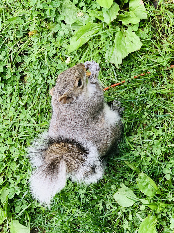 CFBDD851-F31B-49A5-ACA0-C8EC1466FDEF