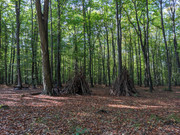 PXL_20211004_145206266