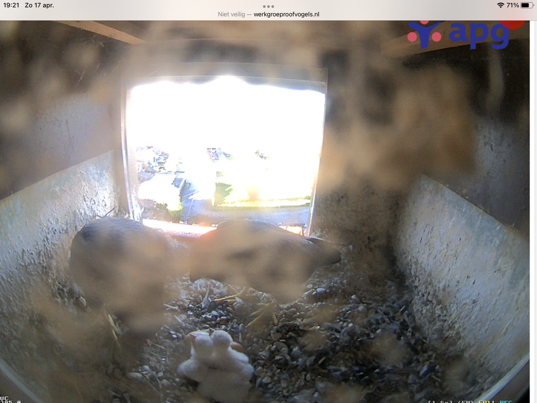 A2FA3326-1950-408F-9661-17E541A1AD2C