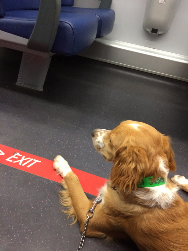 8ADBC558-91B9-40BE-939C-C7F86A32E2CC