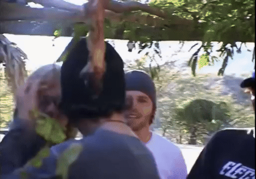 Corona Pretty Stout GIF