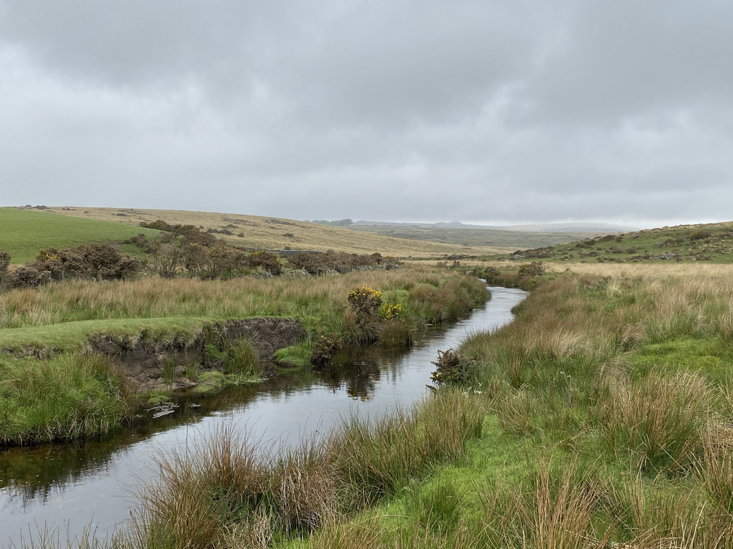 AA0770E9-BFBC-4B52-818D-49928F0E719B