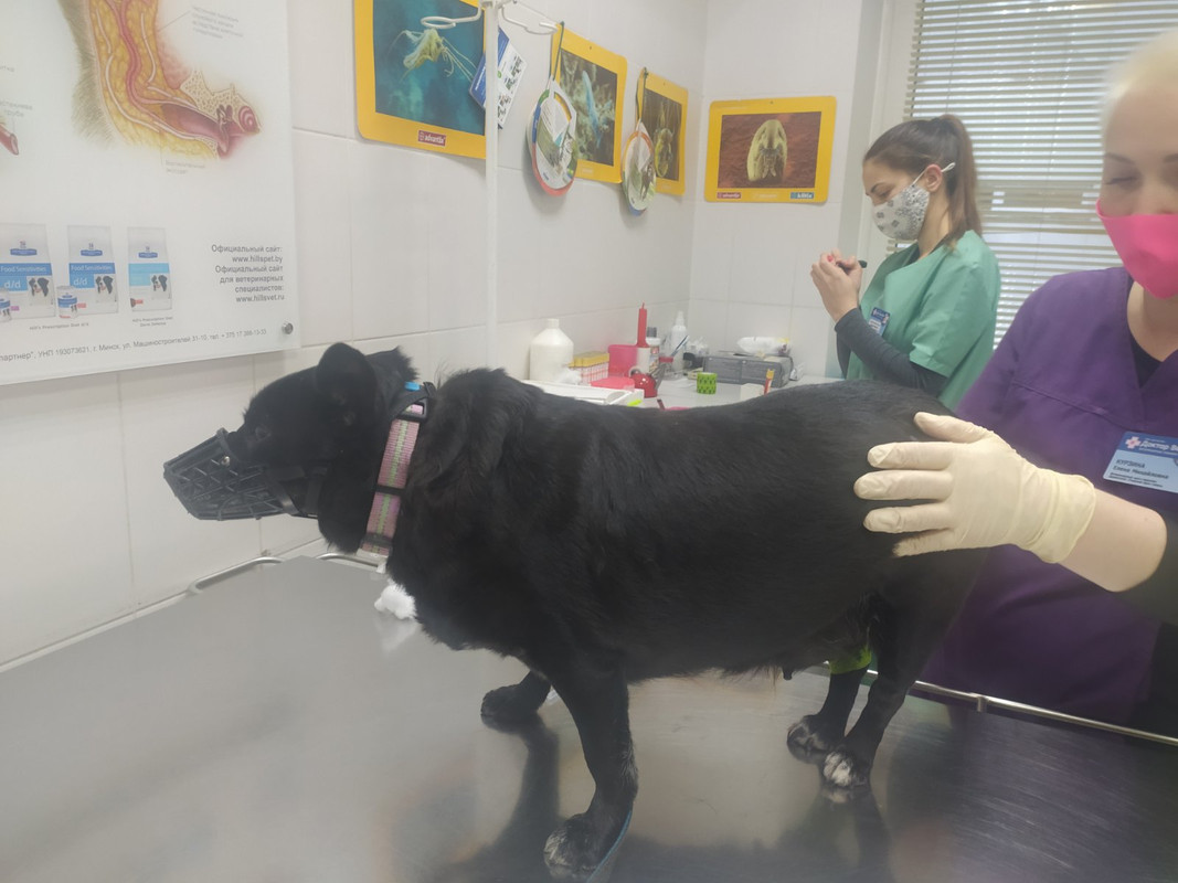 изображение_viber_2021-09-29_14-51-26-246