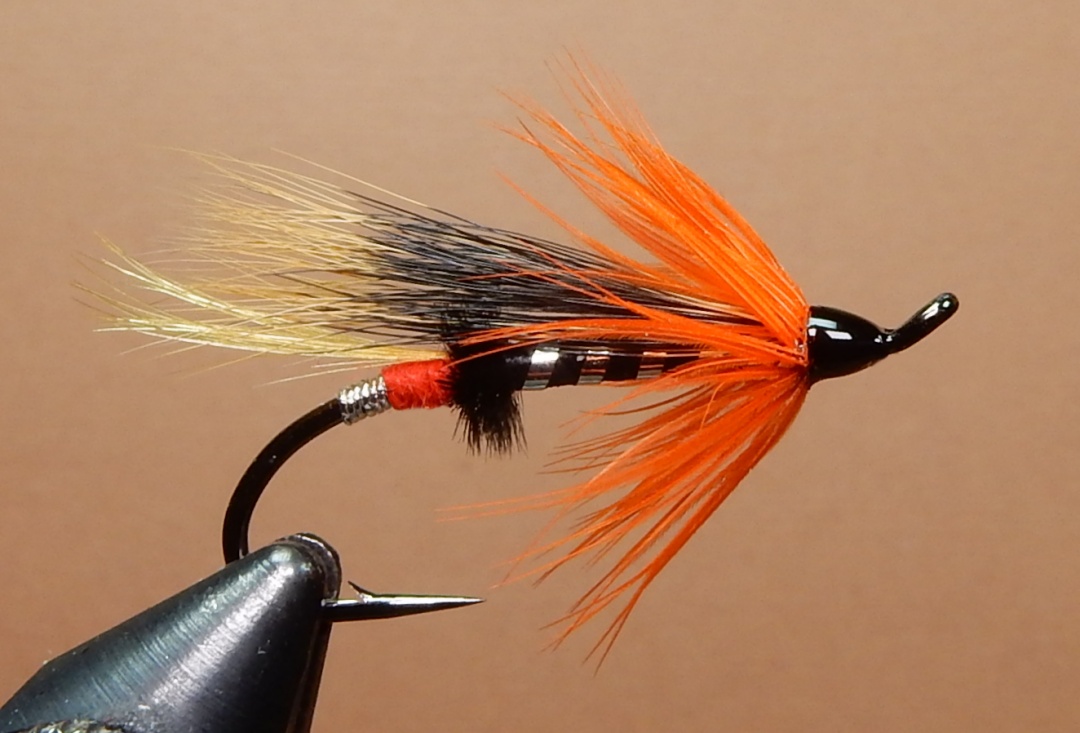 Anniversary-Fly-1080.jpg