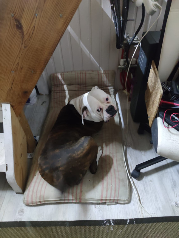 A468E899-0C3B-4ADB-A344-C993F8F4B617