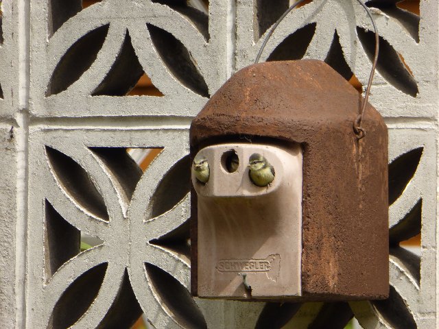 6EB4D63B-DEF1-4D38-A1A8-1BFCEE63CEF5