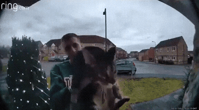 cat-meme.gif