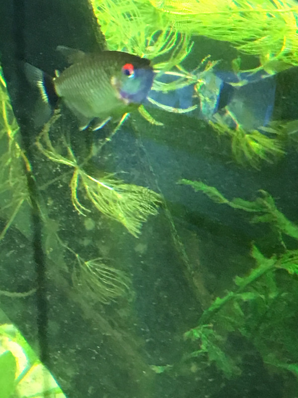 BED767BE-C92A-45D9-86EC-F643472CC12D