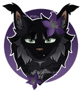 export202409291631074543