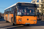 IMG-5491