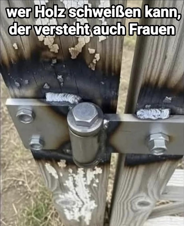 picdump-kw40-2025-079.jpg