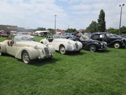 IMG-6520.jpg