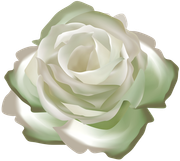 TADD-elements-Last-Dance-In-Paris-78