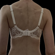 4-PL-back