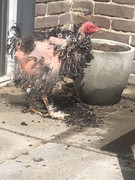 75EEB979-63AE-4A77-9C18-4ACEB2A7EE65