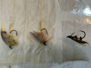 590185C4-EA32-4300-B874-89A2F490FB34