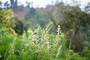 DSC01254