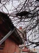 3-photo-2025-12-01-14-38-03-(3)