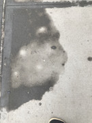 34359C19-9C37-4958-8160-FDE9386D6A41