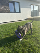 16132CD2-1B7E-45A4-9983-C1908B815477