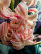 IMG-20190411-191002