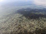 IMG20250101001958