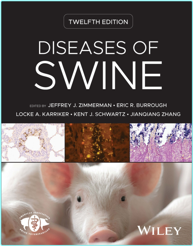 [Image: ln1kts555fjf.png]