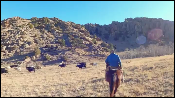 [Image: k1xb9abx71uf.png]