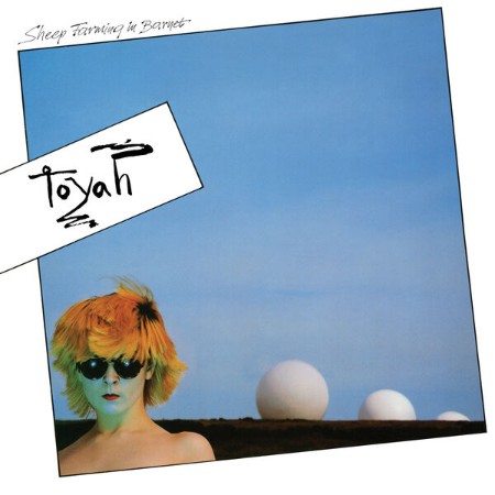 Toyah - Sheep Farming In Barnet (2020)