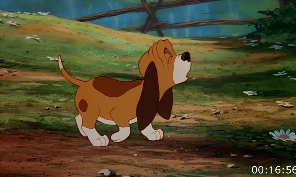 [Image: 24ij5pcas7kp.png]