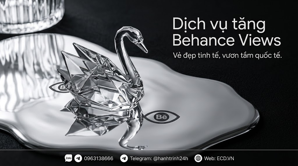 dịch vụ tăng behance views 2024 tăng lượt xem