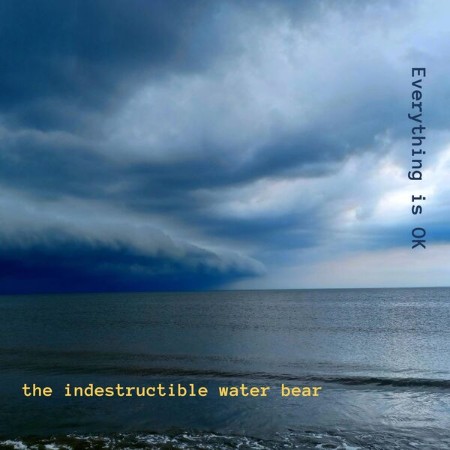 The Indestructible Water Bear - Everything is OK (2025)