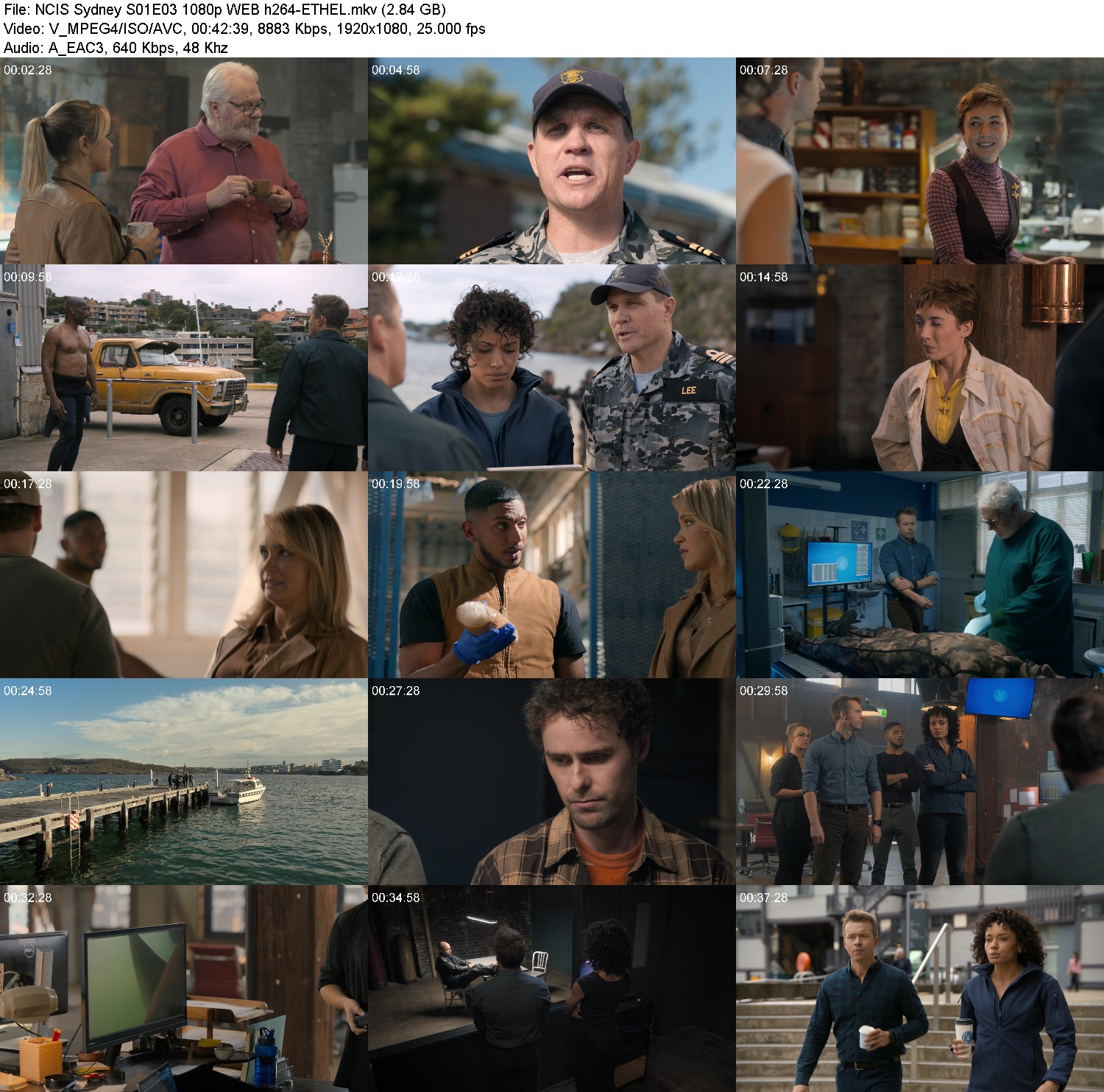 [Image: 87vgf7gv7cfi.jpg]