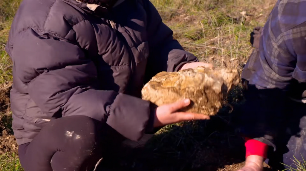 [Image: 22peyba0s9yv.png]