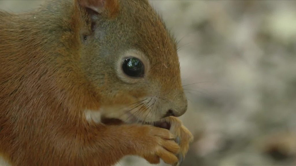 [Image: xcn2tt4qxn73.jpg]