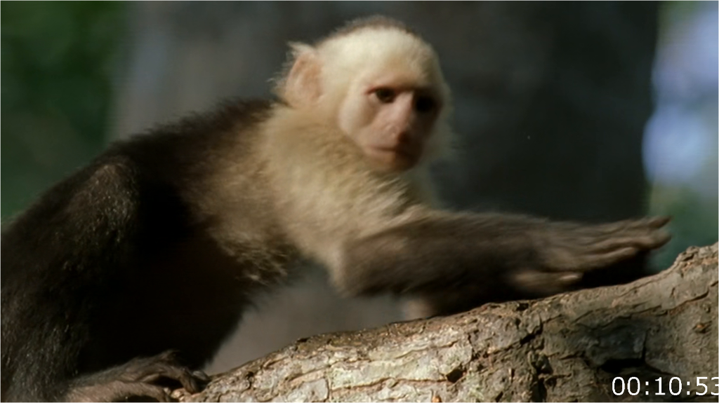 [Image: 0numipjv13i7.png]