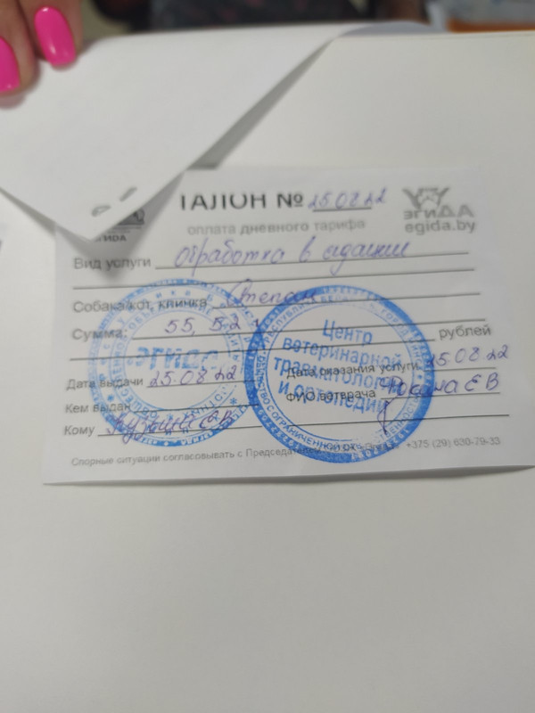 изображение_viber_2022-11-10_16-45-13-251