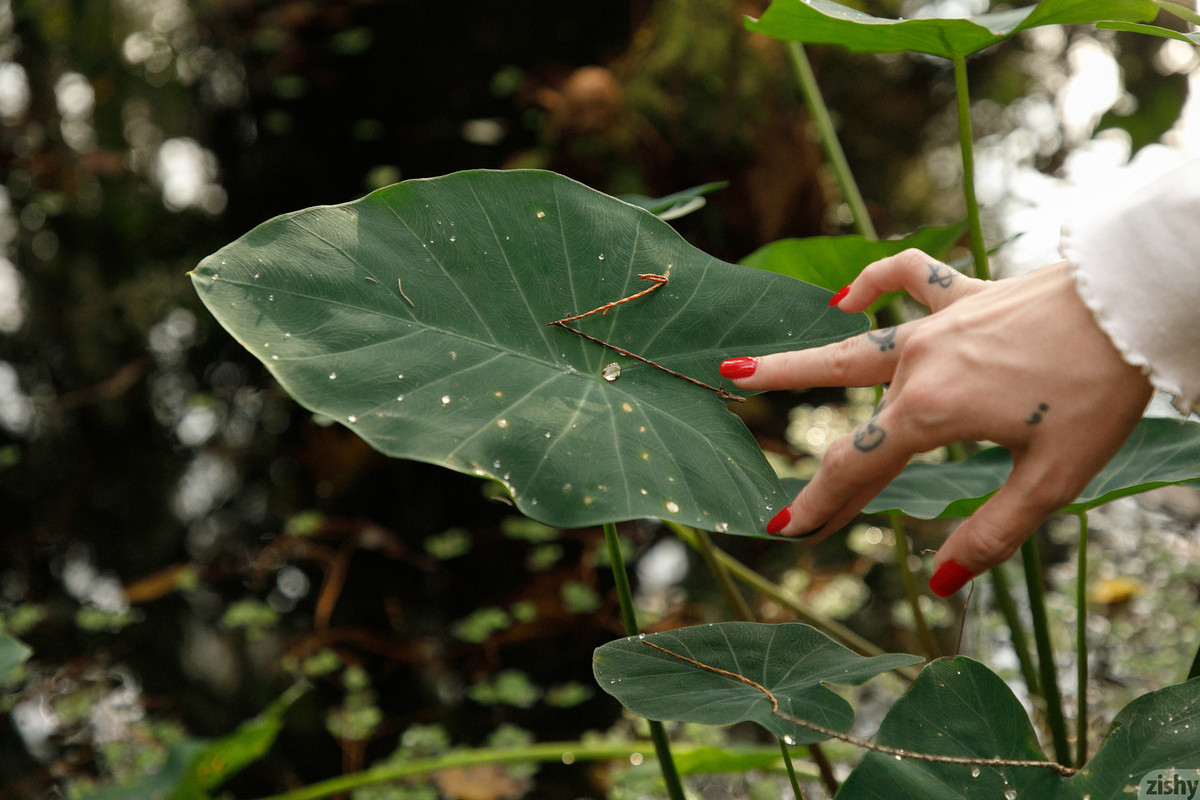 full_010_1709501719428196