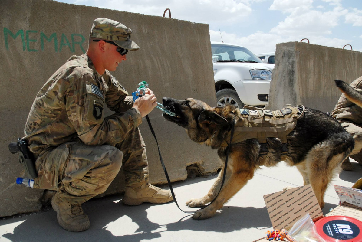 11728876_843166479113657_411422667631055544_o