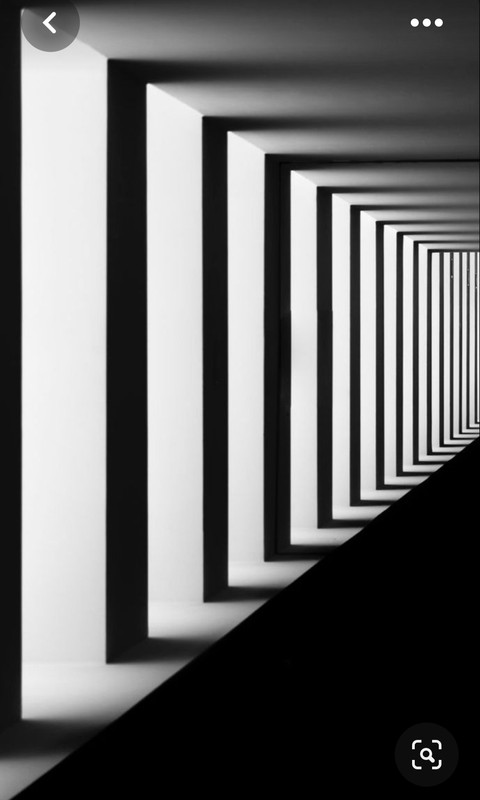 Screenshot_20230805_203931_Pinterest