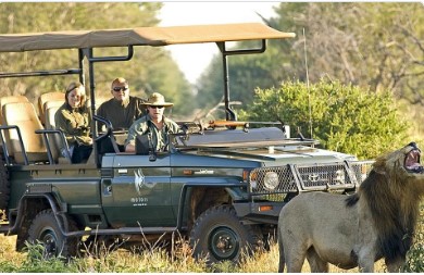 Un dépaysement assuré avec un safari sur-mesure en Afrique du Sud