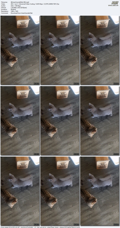 @AsianScandalNet (68).mp4