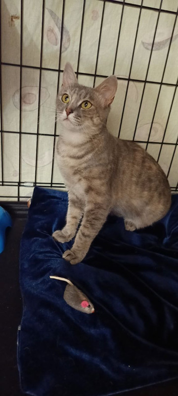 IMG_20240706_025725_146