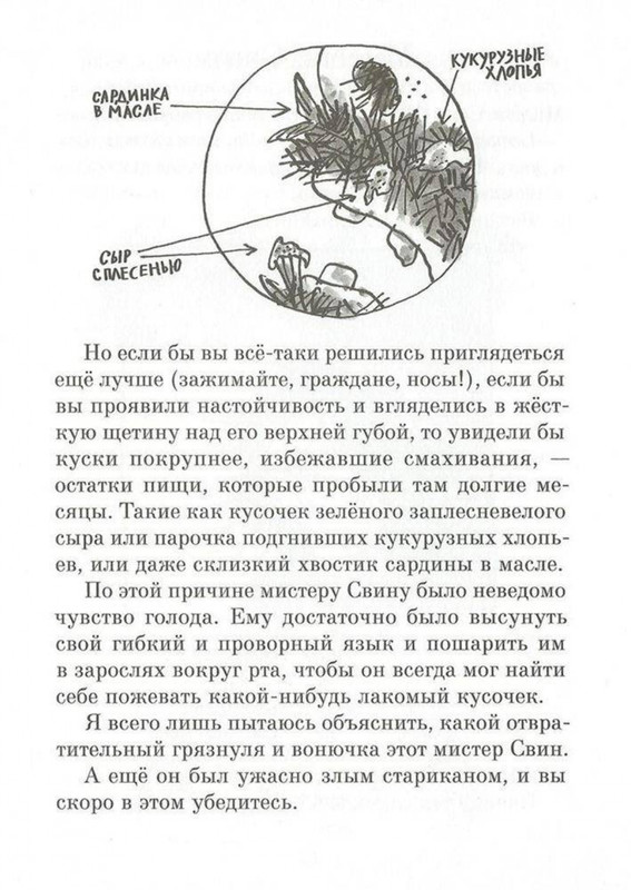 Dal-Roald-Svintusy-page-0013