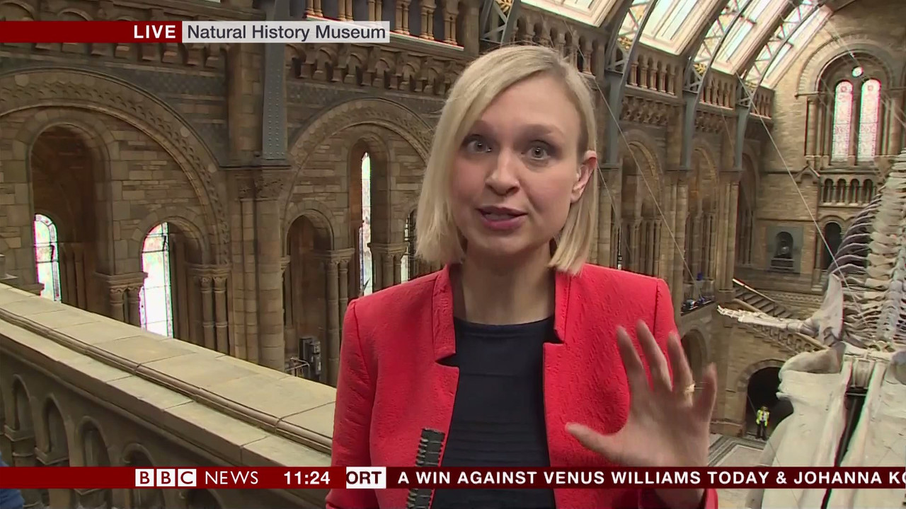 BBC Newsroom Live_20170713_11001130.ts_snapshot_
