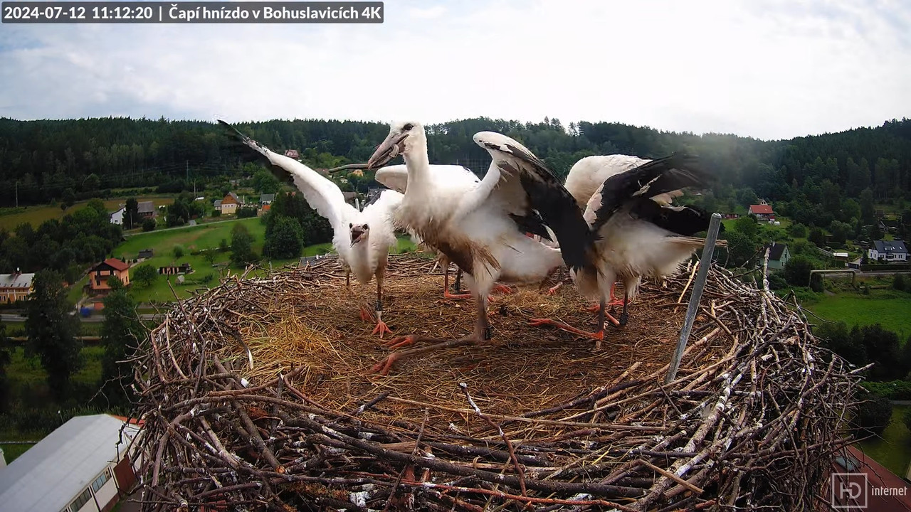 Tiešraidē no uzņēmuma KARA stārķa skursteņa Bohuslavicē pie Trutnovas 12-33-30 screenshot