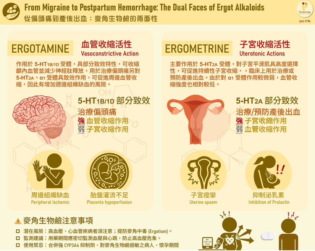 從偏頭痛到產後出血：麥角生物鹼的兩面性