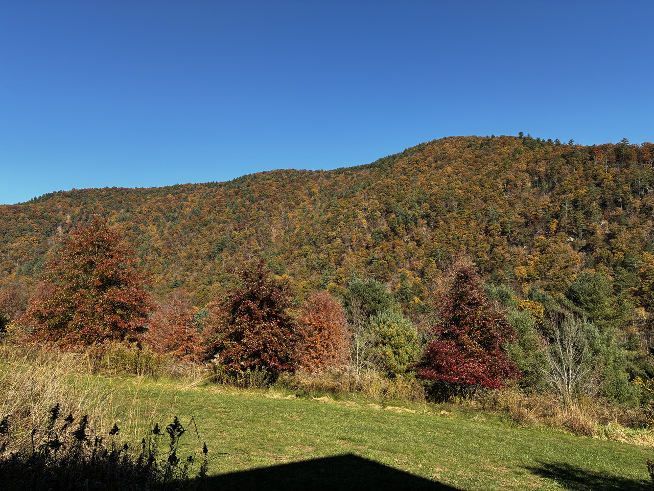 IMG-1131.jpg